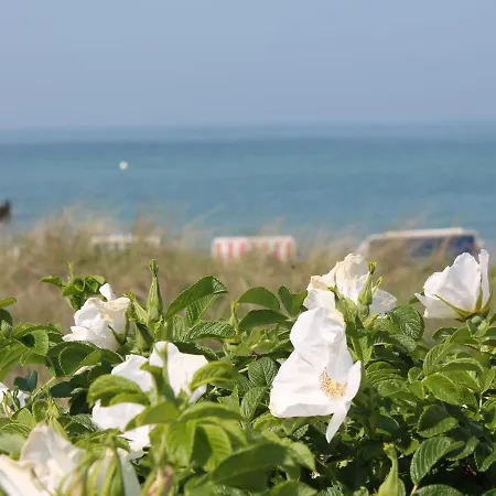 Beautiful In Near The Beach Poel